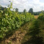 Local alcohol guide Hartford breweries vineyards your area